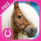 Cute Ponies Puzzles : Free Logic Game for Kids