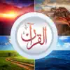 Visual Quran App Feedback