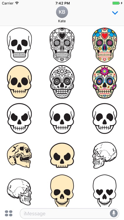 Skull Art