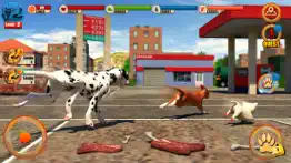 street dog simulator 3d iphone screenshot 4