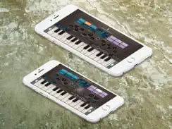 Phasemaker iPad image 2