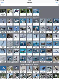 Birds of New Zealand iPad image 3
