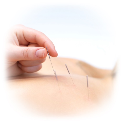 Acupuncture Dictionary Glossary and Tutorial by WindyApp Studio
