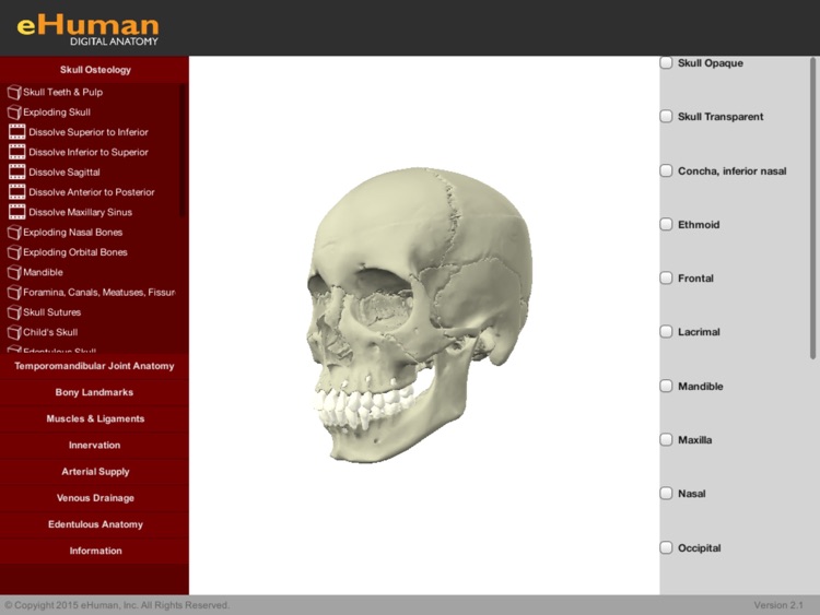 eHuman Head and Neck Anatomy