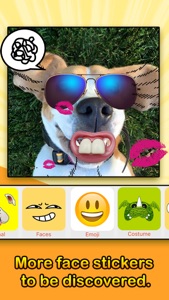 Face Filters - Dog & Other Funny Face Effects screenshot #4 for iPhone