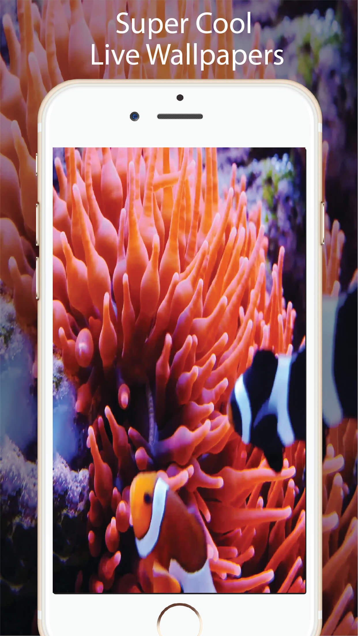 Aquarium Live Wallpapers Lite