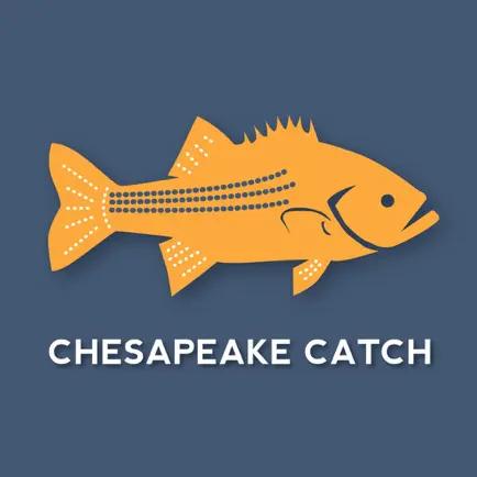 Chesapeake Catch Cheats