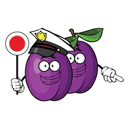 Kde stojí švestky app icon