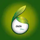 Lulu Ethnic