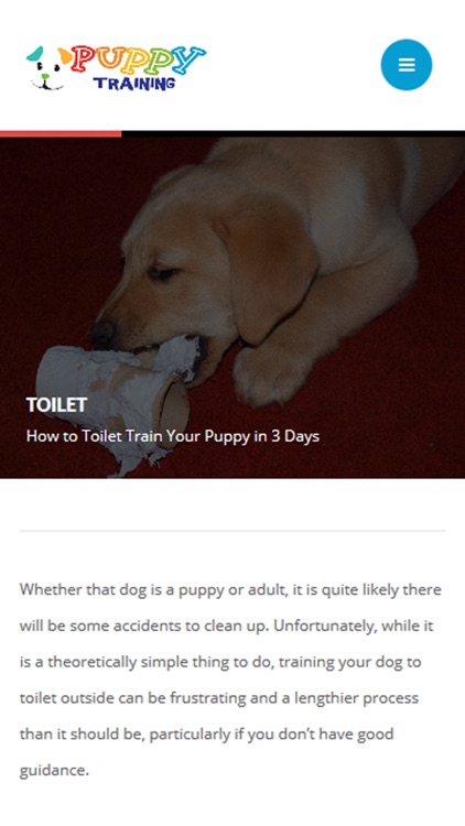 Puppy Training tips and tricks