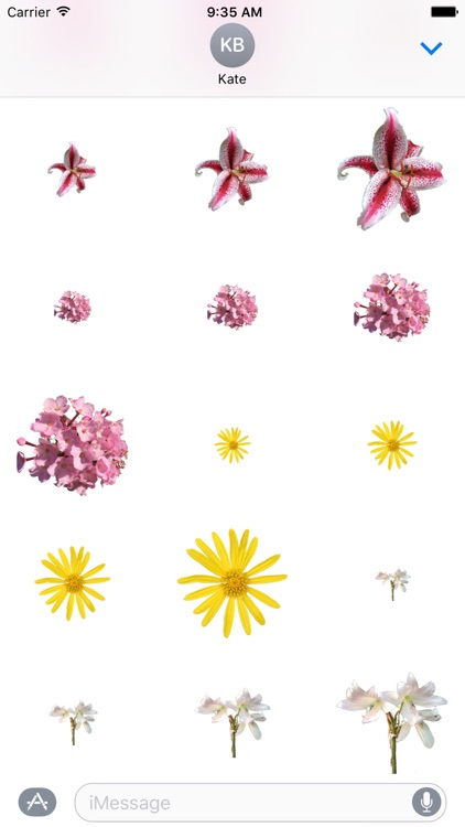 Flower Stickers 花貼紙