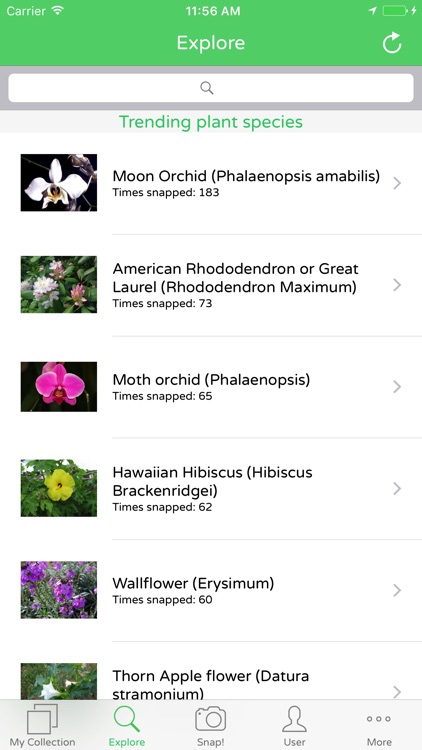 PlantSnap Plant Identification screenshot-4