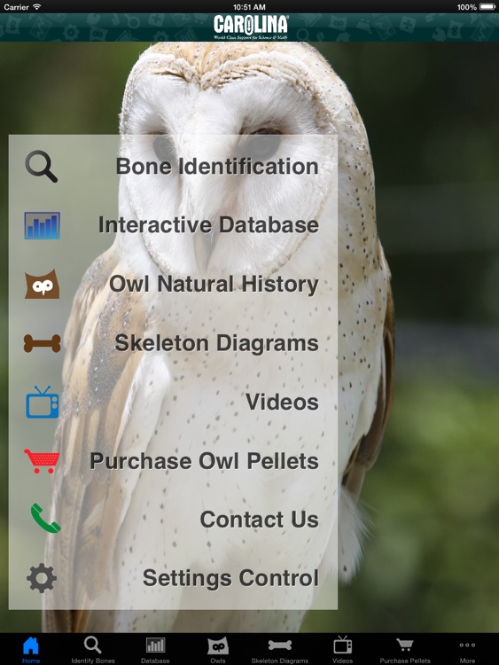 Owl Pellet Activities HD