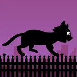 Black Cat Run App Support