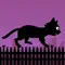 Black Cat Run anmeldelser