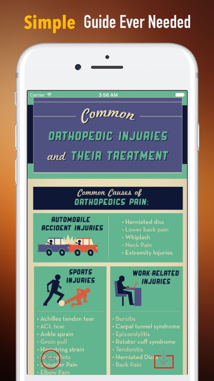 Orthopaedic-Glossary and Tutorial