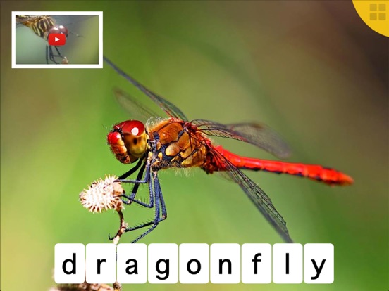 Screenshot #6 pour ABC Animals - Your Alphabet Letters Mini Adventure