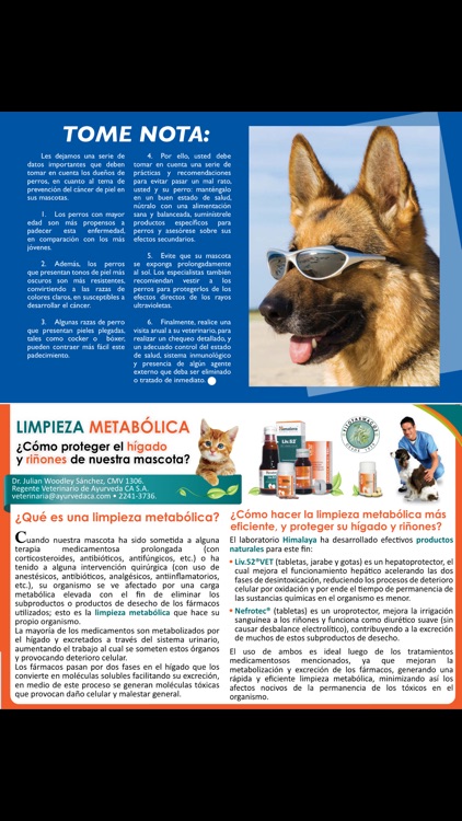 Pets y más screenshot-4