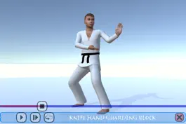 Game screenshot Taekwondo Poomsae hack
