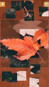 Leaf Puzzle Games - Real Picture Jigsaw Puzzles screenshot #4 for iPhone