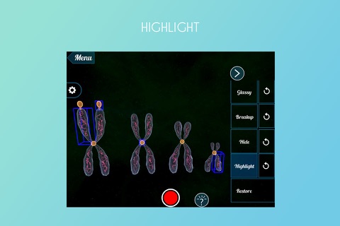Virtual Reality(VR) Chromosomes screenshot 3