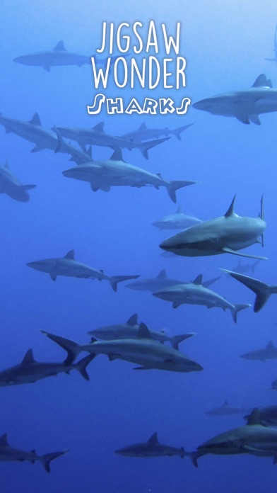 Screenshot #2 pour Casse-Tête De Requin Pour La Collecte Des Enfants Étonnant De Puzzle