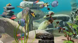 mylake 3d aquarium problems & solutions and troubleshooting guide - 3