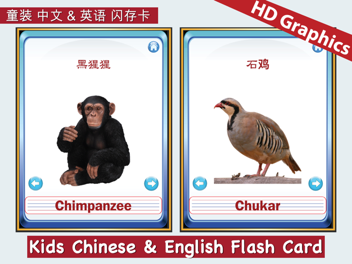 Kids Chinese and English Flash Cards ABC