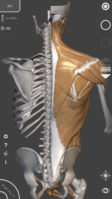 アーティストのための3D解剖学的構造 | ... screenshot1