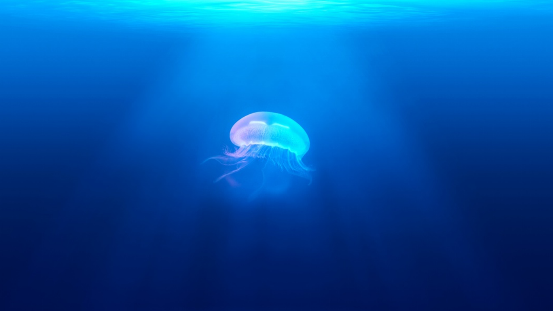 Shutter - The most beautiful photos on earth screenshot 3