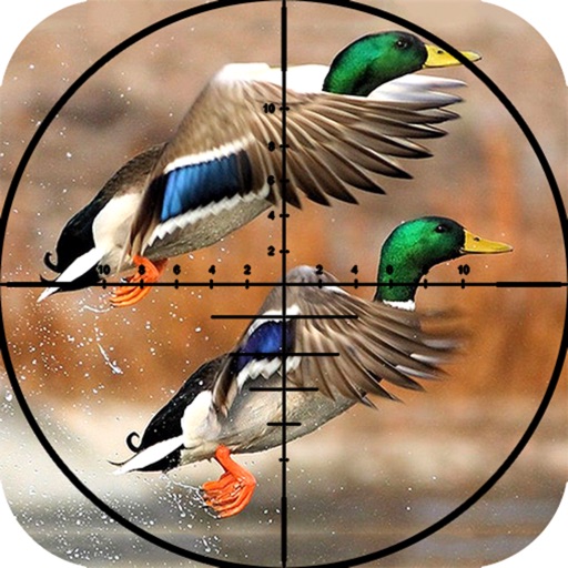 Birds Sniper Shot : 3D Adventure-s kill-er 2017 iOS App