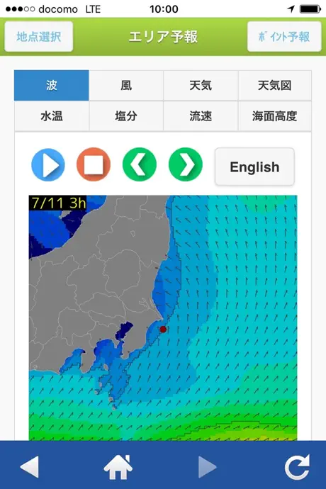 航空波浪気象情報