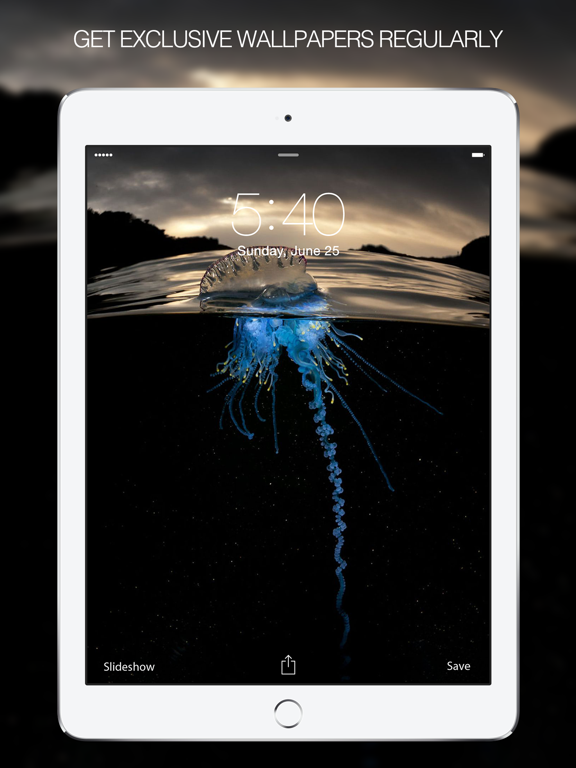 Screenshot #6 pour Rare Photos – Rare Pictures & Unique Wallpapers