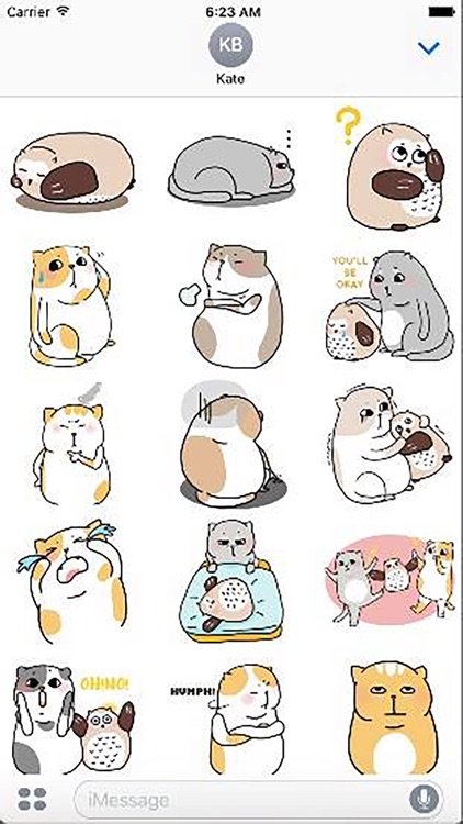 Cat Cute Story