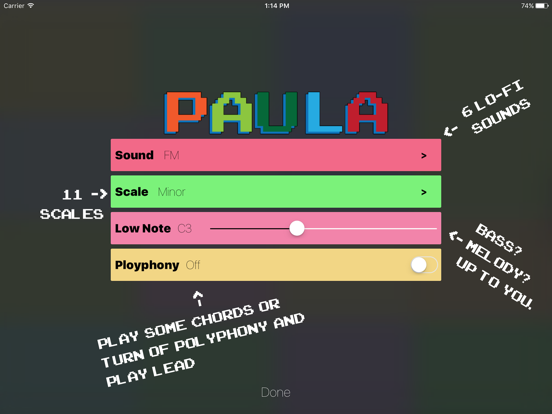 PaulaSynth iPad screenshot 2 - Music app