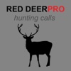 REAL Red Deer Calls & Red Deer Sounds for Hunting