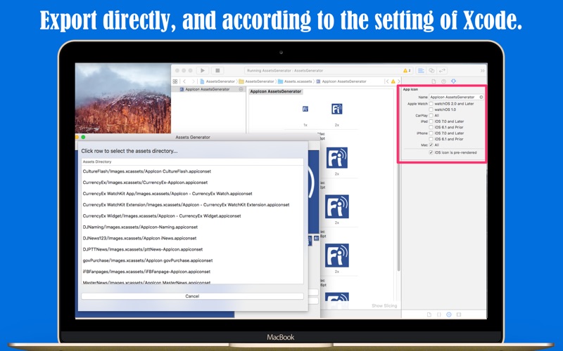 assetsgenerator for xcode iphone screenshot 2