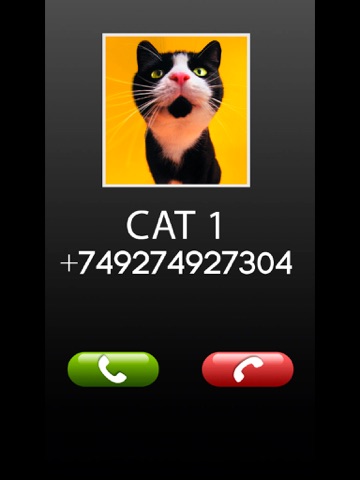 Screenshot #6 pour Fake Call Cat Prank