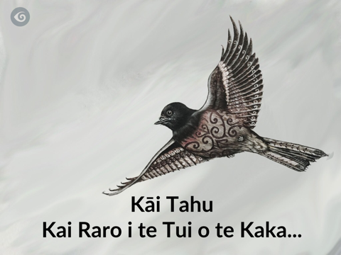 Screenshot #4 pour Kāi Tahu - A Little Bird Told Me...