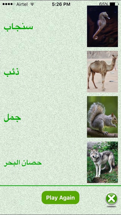 FlashCards Arabic Lesson screenshot-4