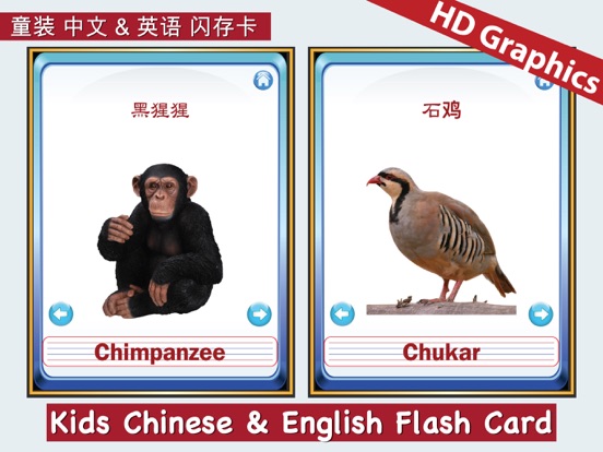 Screenshot #4 pour Enfants chinois & Anglais Flash Cartes abc