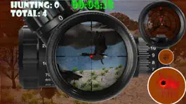 Game screenshot Sniper Birds Hunting Rampage mod apk
