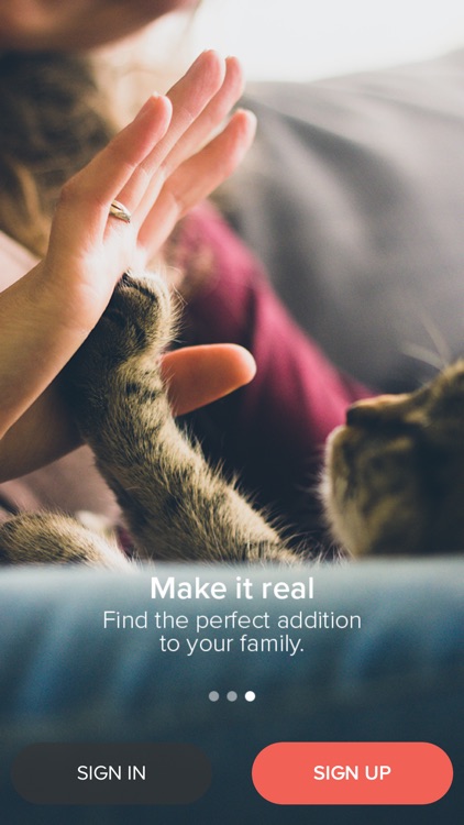 Pawky - For paw people!