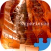 Words Puzzle Jigsaw-Play and Learn with HD Images for Free