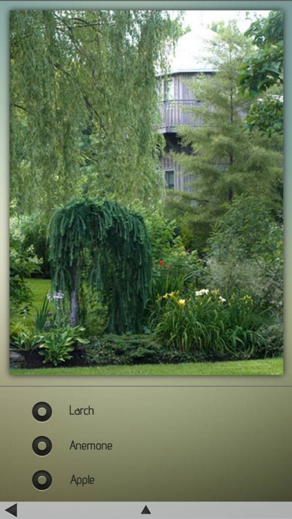 Plants Wiki