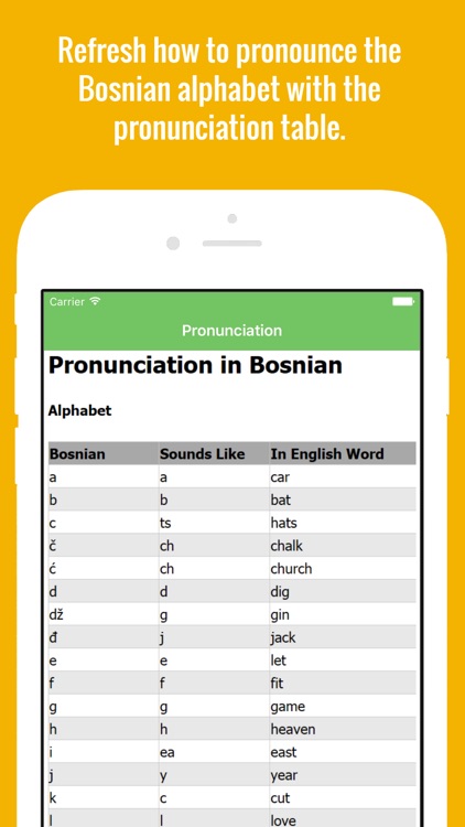 Bosnian Flashcards with Pictures Lite