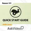 Quick Start Guide For Reason App Feedback