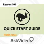 Quick Start Guide For Reason App Problems