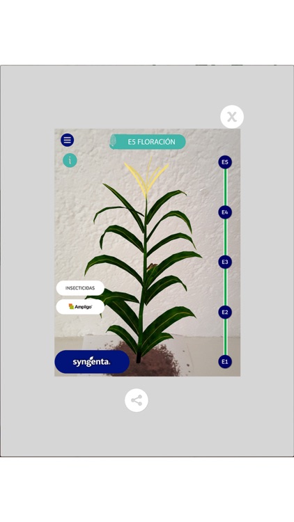 Syngenta Cards screenshot-4