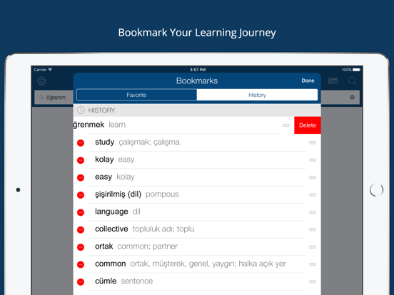 Turkish English Dictionary Pro iPad screenshot 5 - Education app